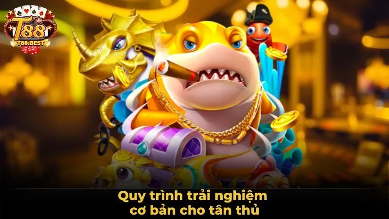 Quy trình trải nghiệm cơ bản cho tân thủ